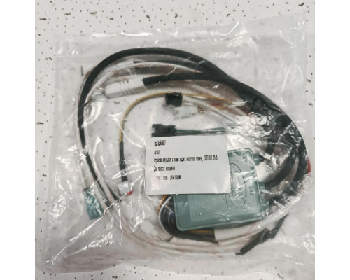 Устройство импульсное с иглами поджига и контроля пламени для котлов Thermex Edisson F, E, H